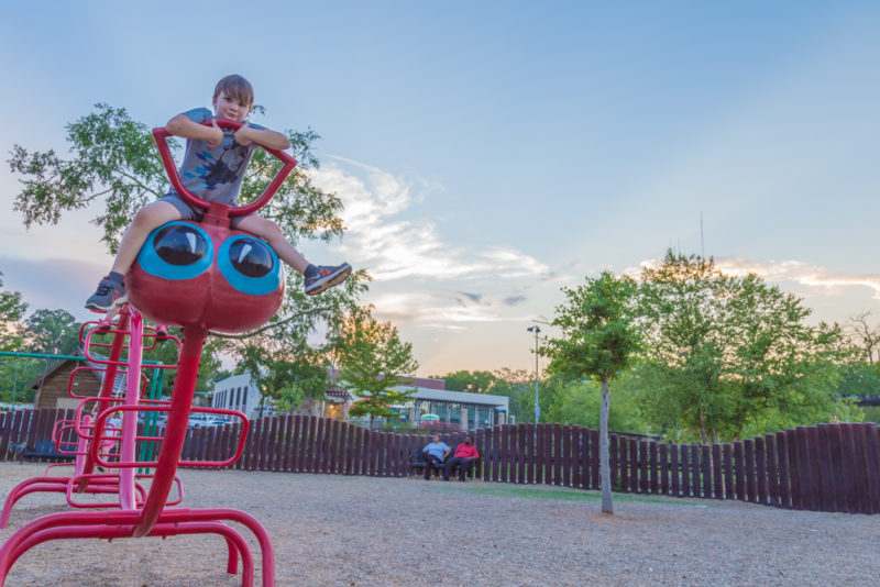 170519-Homewood-Park-Caterpillar_MG_0086 s