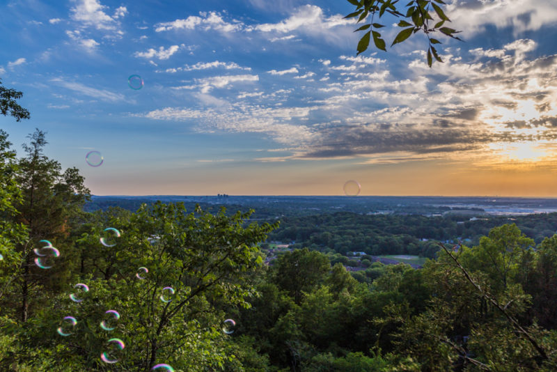 170526 Bubbles on Ruffner Mountain_MG_8575 s