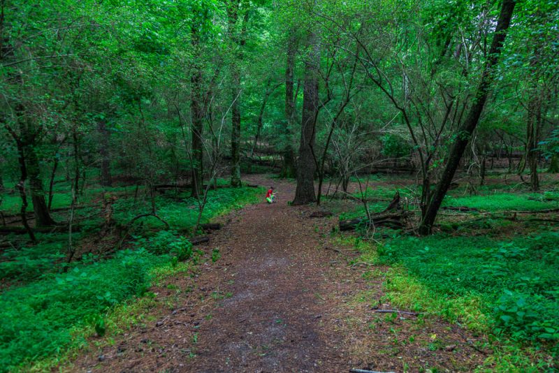 180528 Hike Finds at Joe Wheeler IMG_1531 s