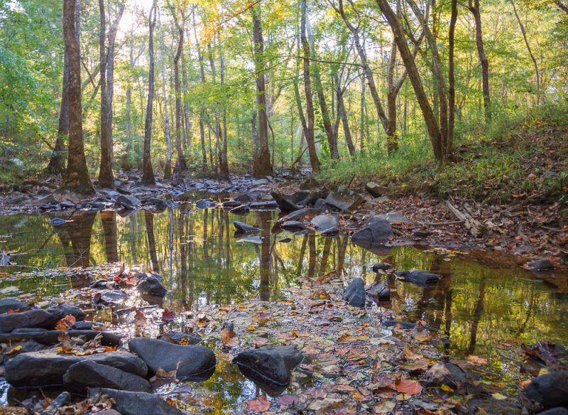 181024-Touches-of-Fall-on-Kelly-Creek-IMG_8257 S