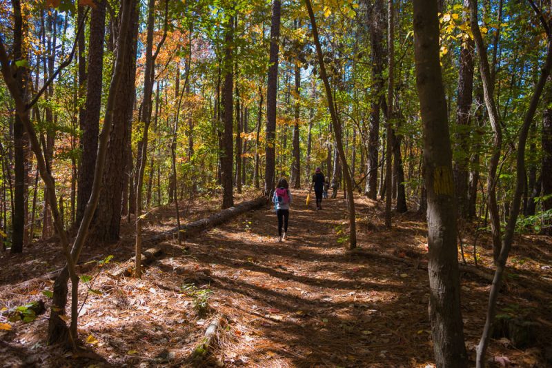 181103 oak mountain in the fall IMG_9563 S