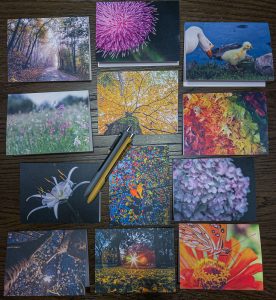 2021 Note Cards SMALL IMG_2554_1