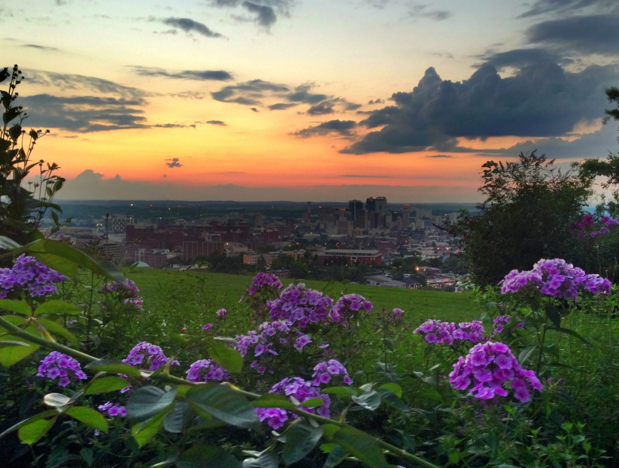 Birmingham Through the Flowers