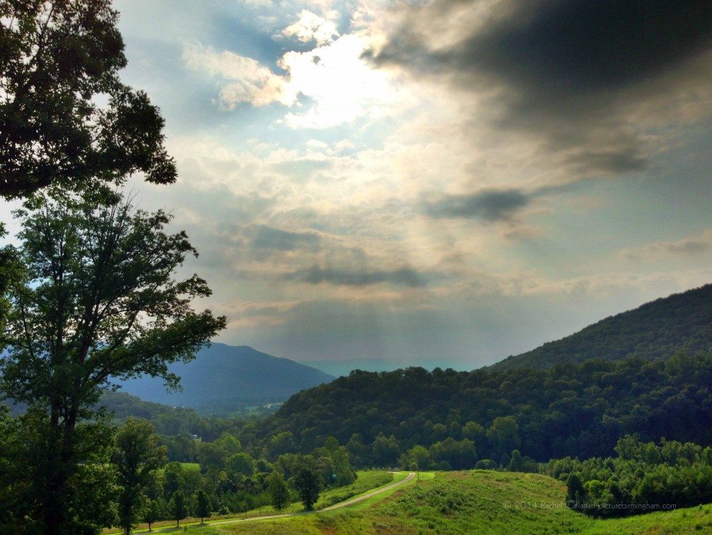 Rising Fawn Picture Birmingham