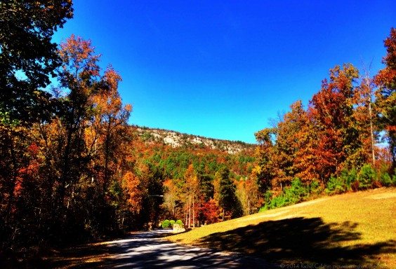 Fall Colors in St Clair County