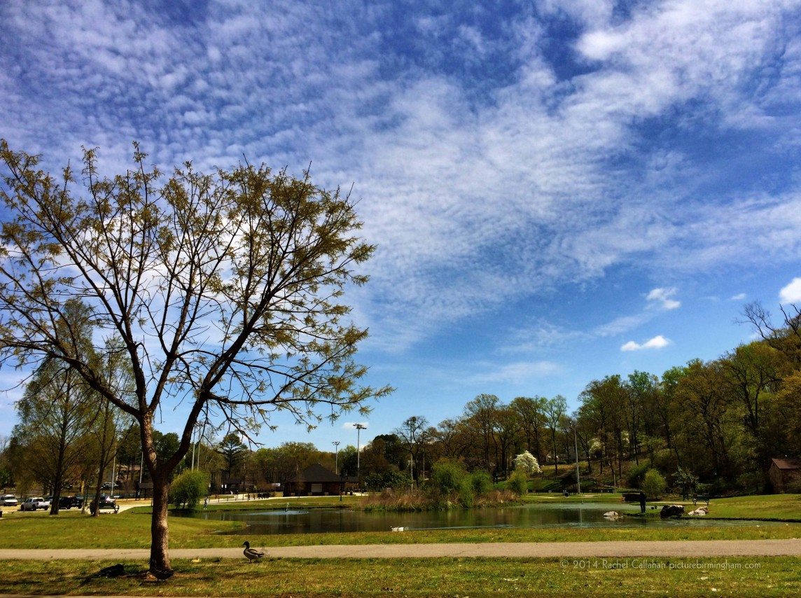 Cloud Watching at Avondale Park