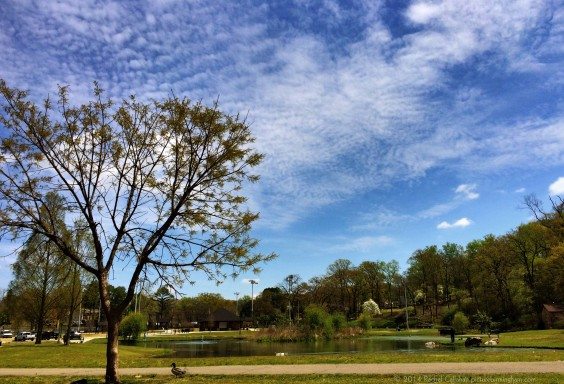 Cloud Watching at Avondale Park