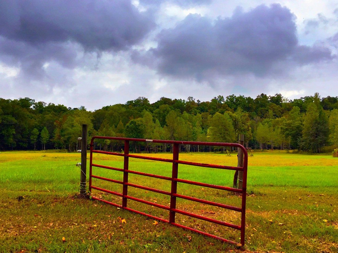 The Open Gate to Autumn