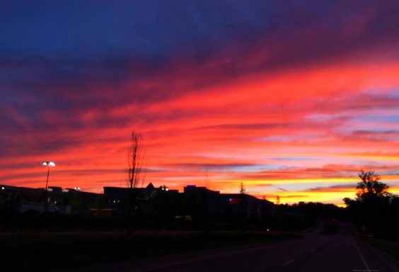 An Alpharetta Sunset