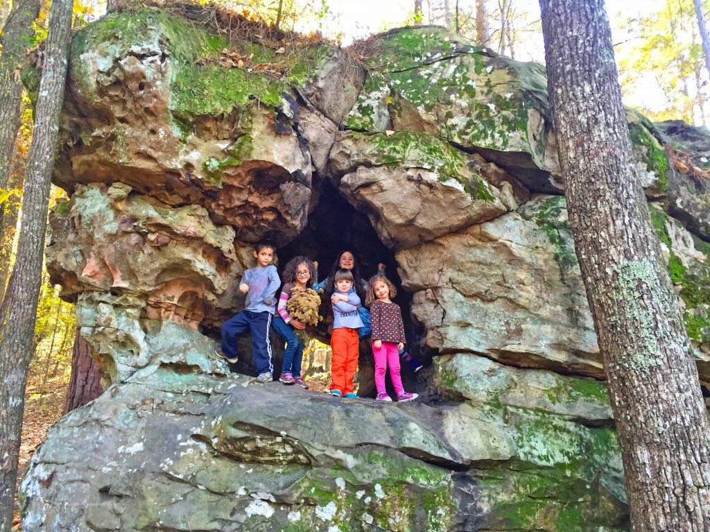 Exploring Moss Rock Preserve Picture Birmingham