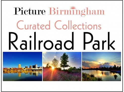 Railroad Park Curated