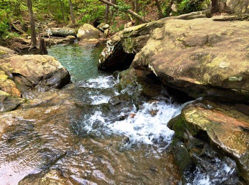 The Falls at Moss Rock