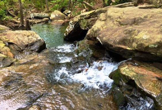 The Falls at Moss Rock