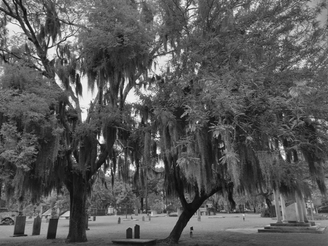 Live Oaks and Dead People