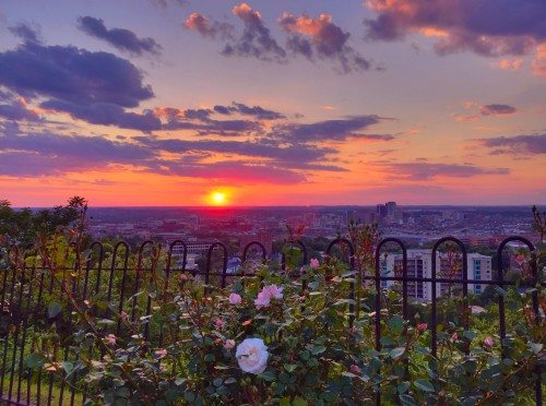 Rose-Colored Glasses