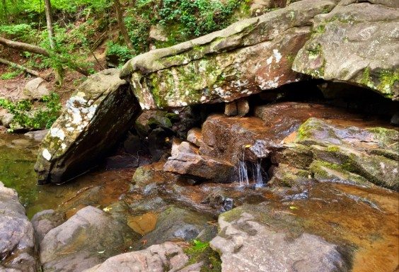 A Trickle at Moss Rock