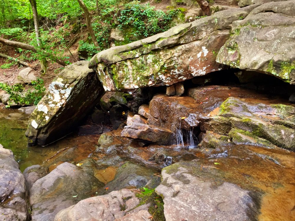 A Trickle at Moss Rock