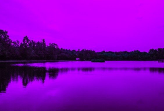 Purple Sunset (Purposefully Surreal - This didn't happen, people)