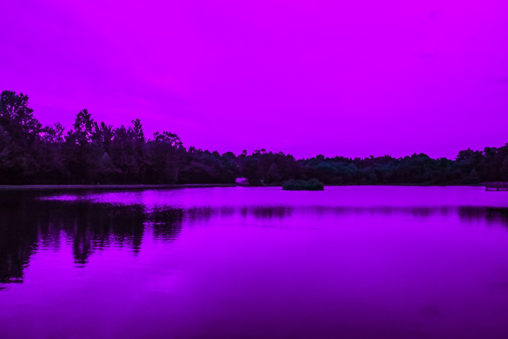 Purple Sunset (Purposefully Surreal - This didn't happen, people)