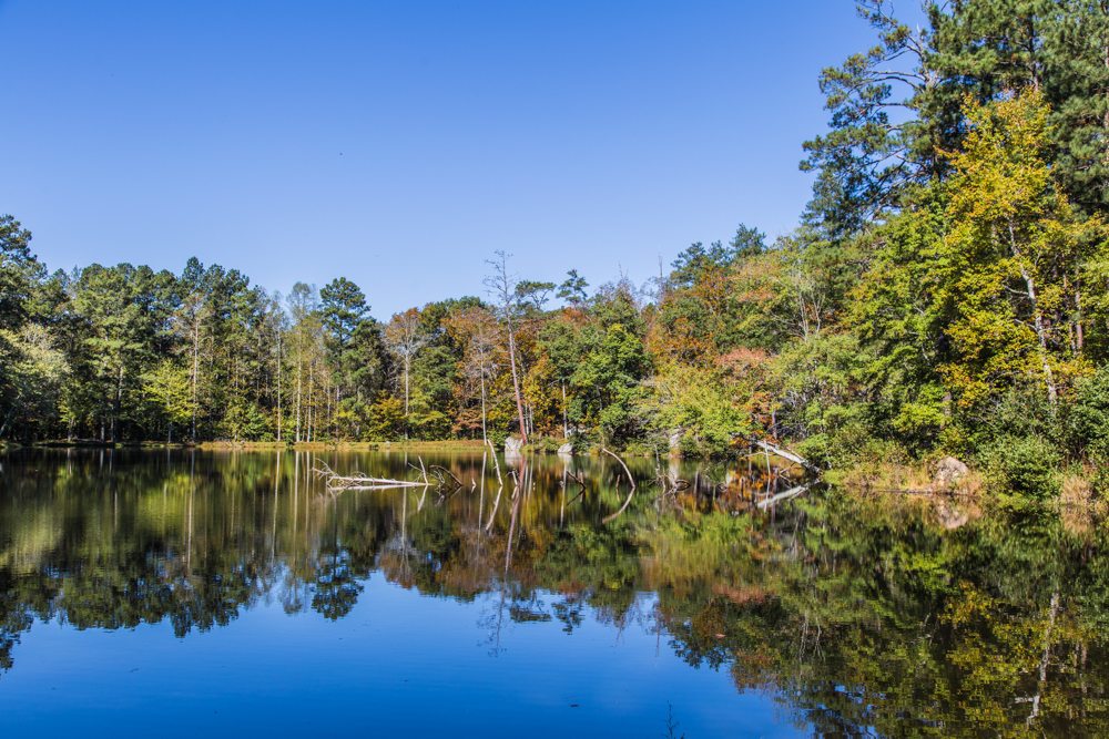 Fall Reflections on Panola Mountain | Picture Birmingham