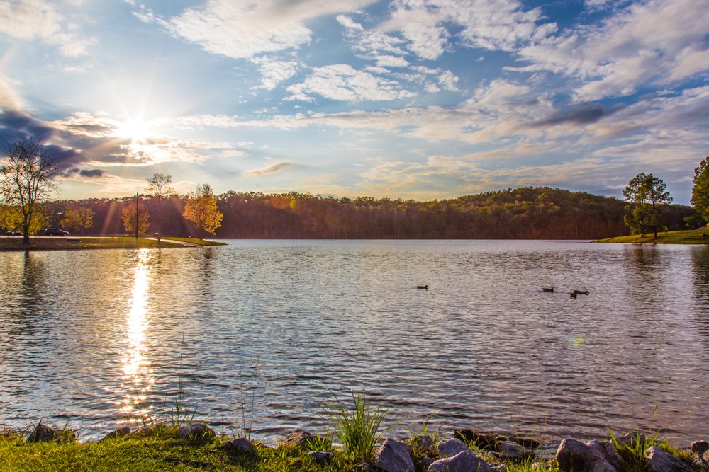 11 6 15 A Gorgeous Day At Lake Lurleen State Park Picture Birmingham   151106d 