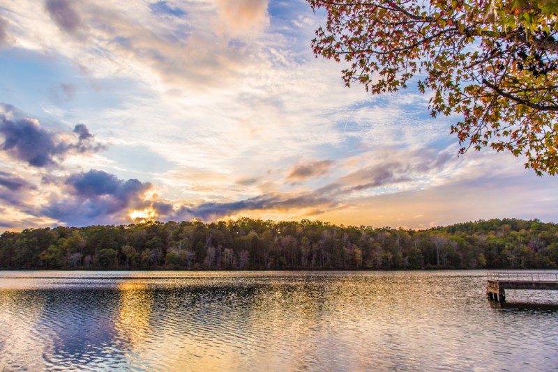 Escape to Tranquility: Your Guide to Lake Lurleen State Park