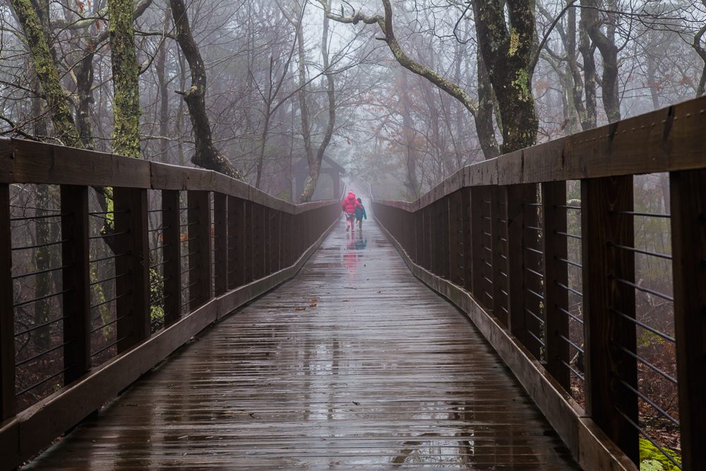Bald Rock Boardwalk in the Clouds Picture Birmingham