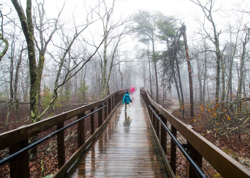 Bald Rock Boardwalk in the Clouds Picture Birmingham
