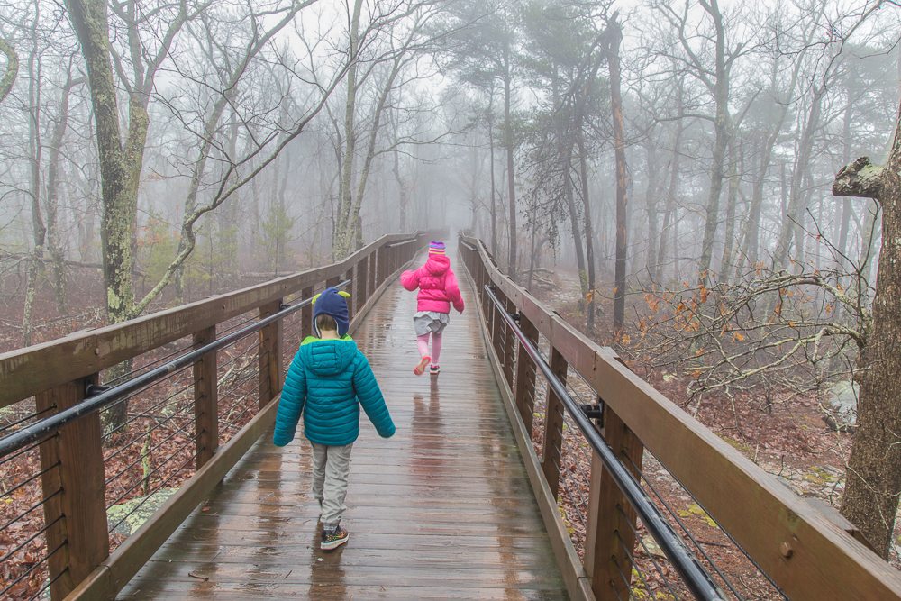 Bald Rock Boardwalk in the Clouds Picture Birmingham