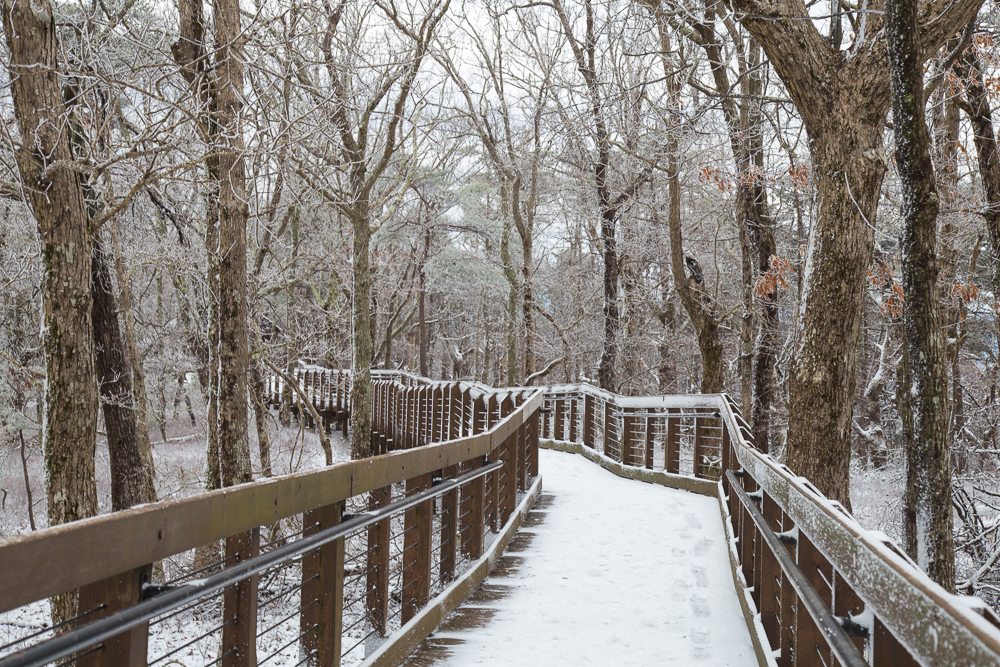 Bald Rock Boardwalk Picture Birmingham