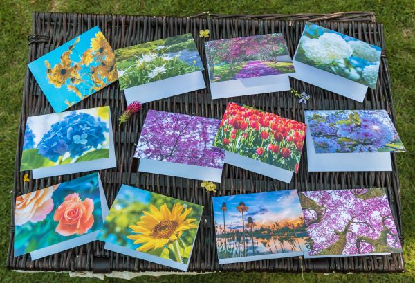 2018 Floral Note Cards s