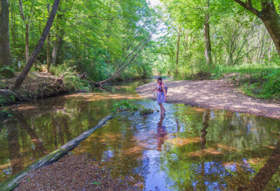 170519 Cahaba River Exploring Trussville_MG_0008 s