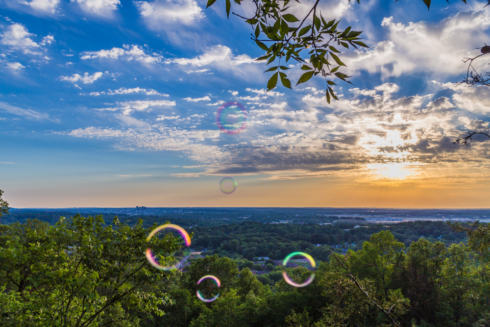 170526 Bubbles on Ruffner Mountain_MG_8577 s