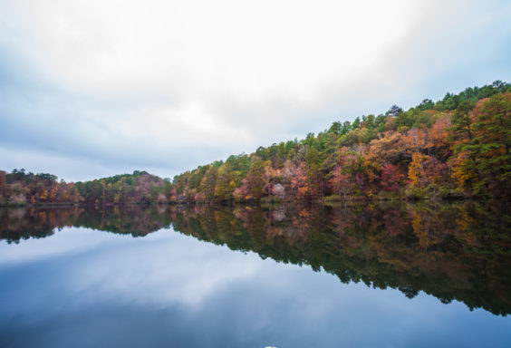 171106 Oak Mountain Tranquility Lake Fall Leaves IMG_8900