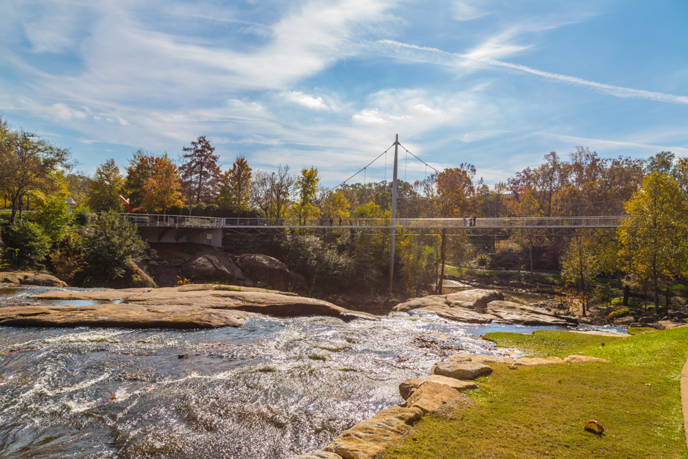 11/15/17 Scenes, Sculptures, Bridges, and Ducks in Downtown