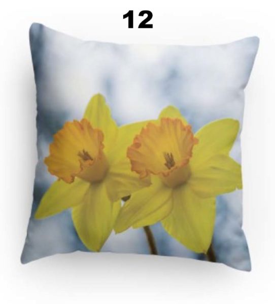 Pillow 12 Daffodil