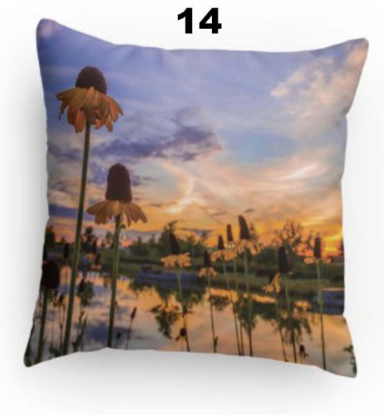 Pillow 14 Cone Flower in Sunset