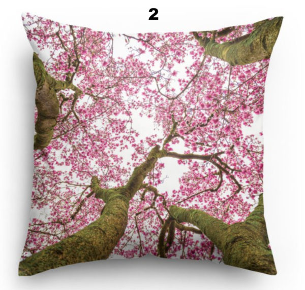 Pillow 2 Japanese Magnolia Looking Up 2