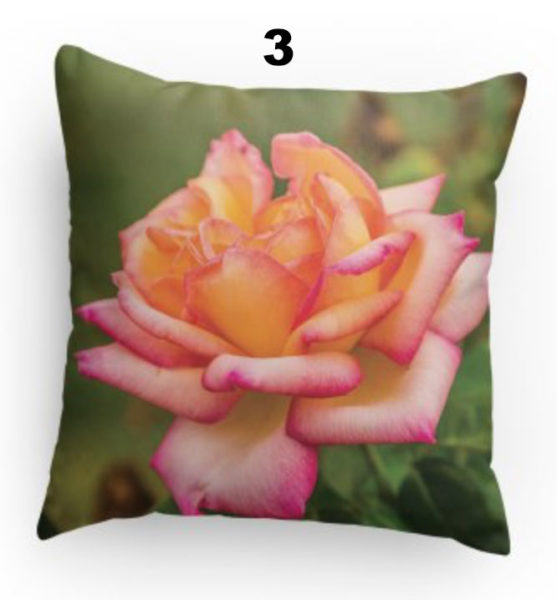 Pillow 3 Coral Rose