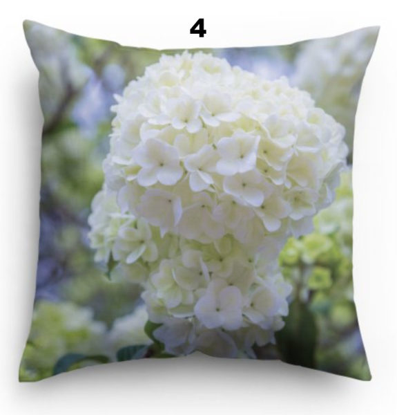 Pillow 4 White Hydrangea