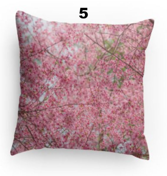 Pillow 5 Red Bud 1