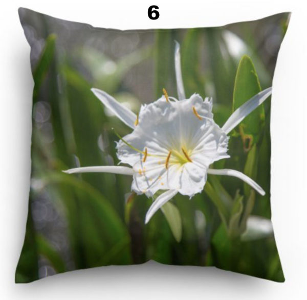 Pillow 6 Cahaba Lily
