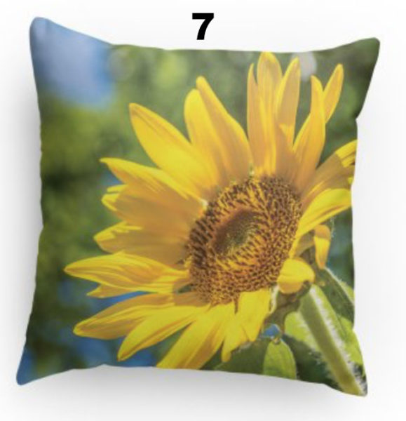 Pillow 7 Sunflower