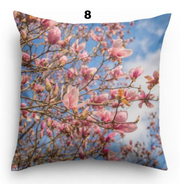 Pillow 8 Japanese Magnolia and Blue Sky