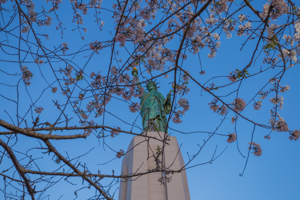 180315 Lady Liberty in Cherry Blossoms IMG_6637 s