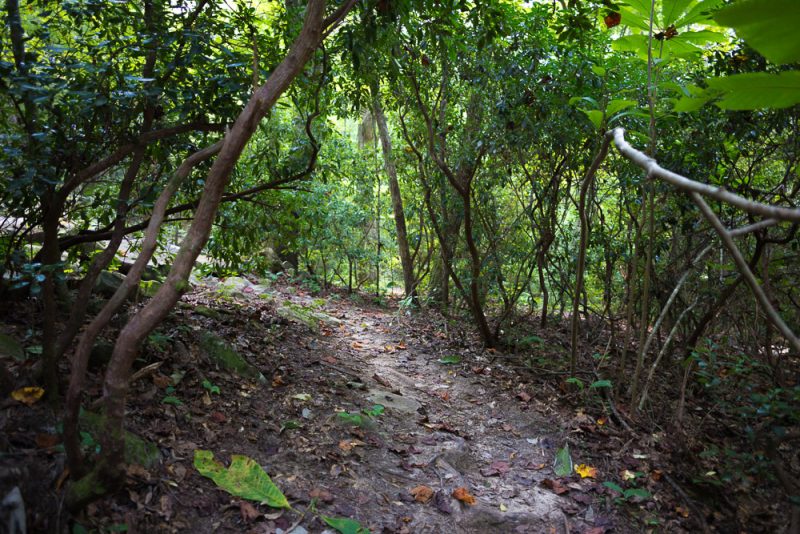 8/23/18 Sights Along Dunnavant Valley Trail Picture Birmingham