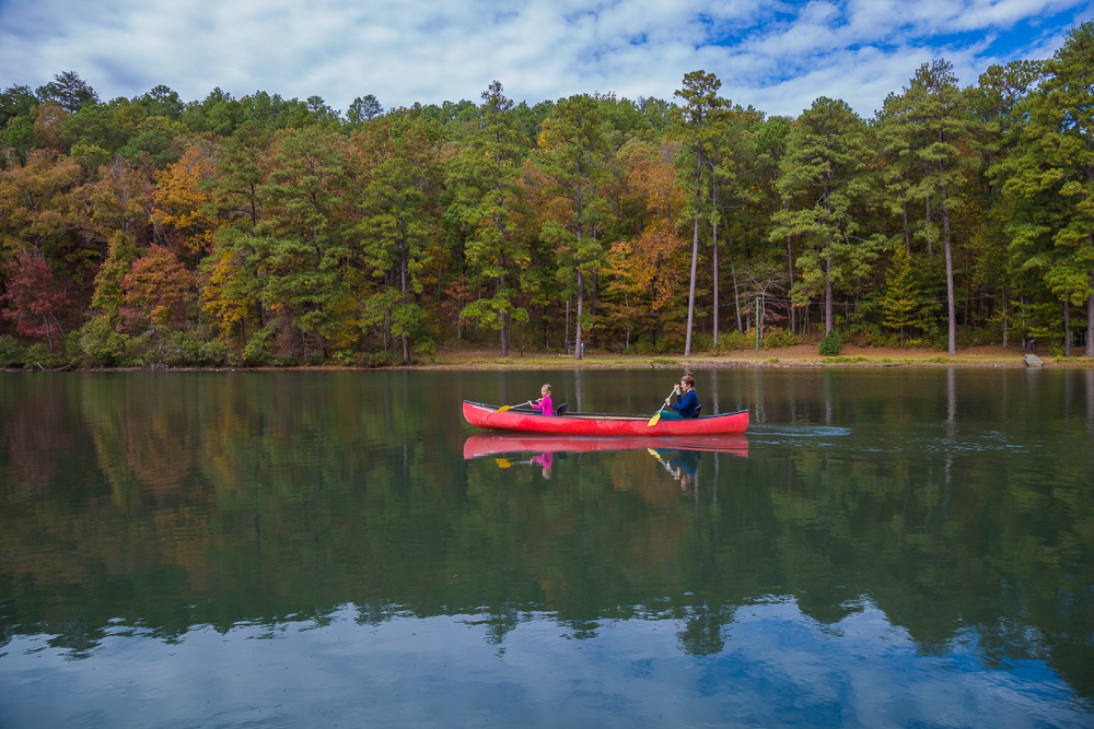 11/6/18 Fall Meanderings on Lake Tranquility Picture Birmingham