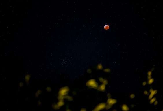 190120-Lunar-Eclipse-IMG_2305 S