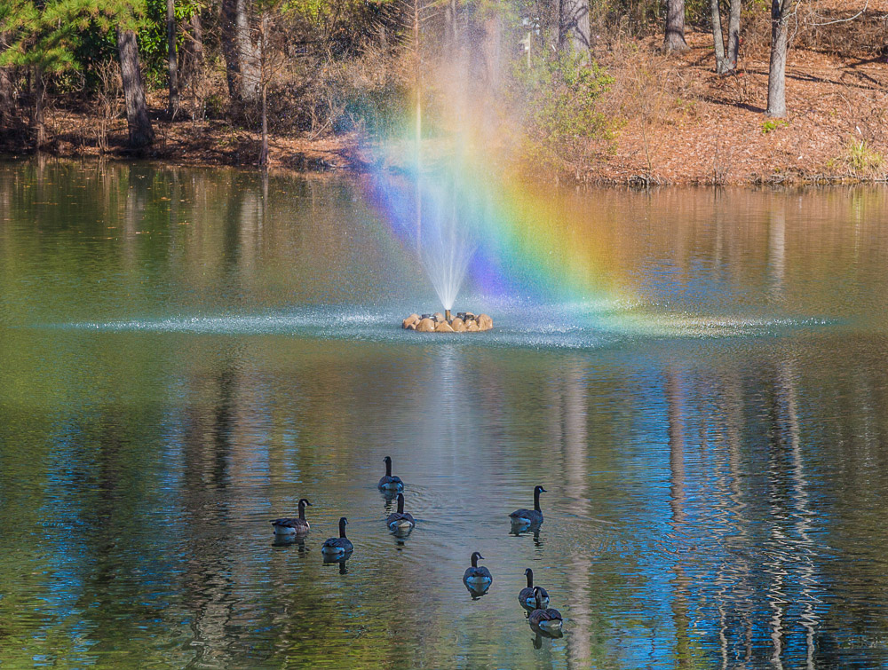 181218-aldridge-rainbow-fountain-IMG_9923 s
