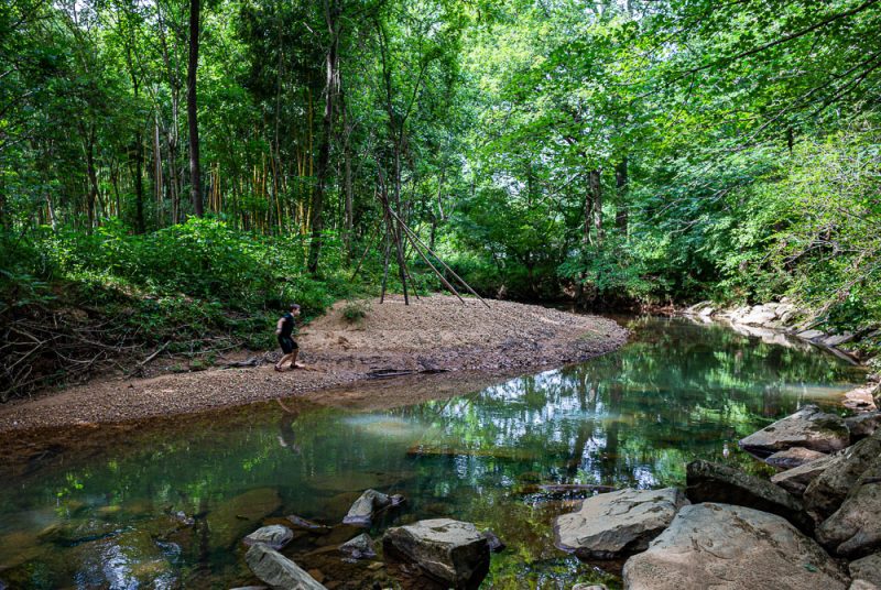 190611 Trussville Cahaba Exploring IMG_5655s